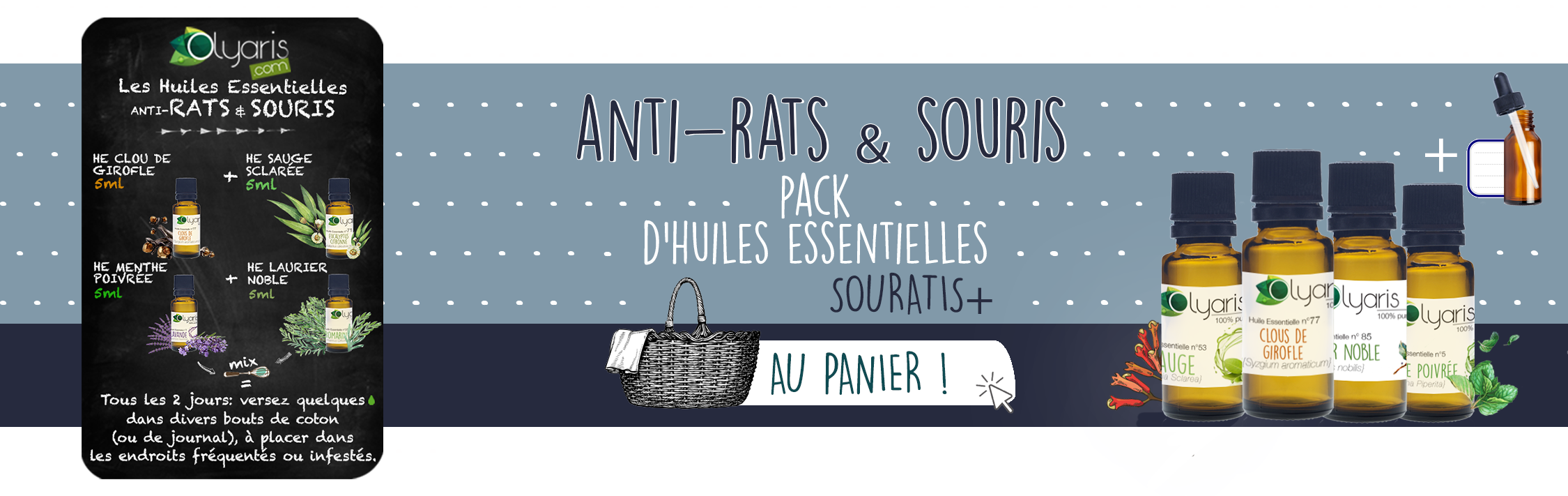 Répulsif Rats et Souris: Les Huiles Essentielles à Utiliser - Olyaris